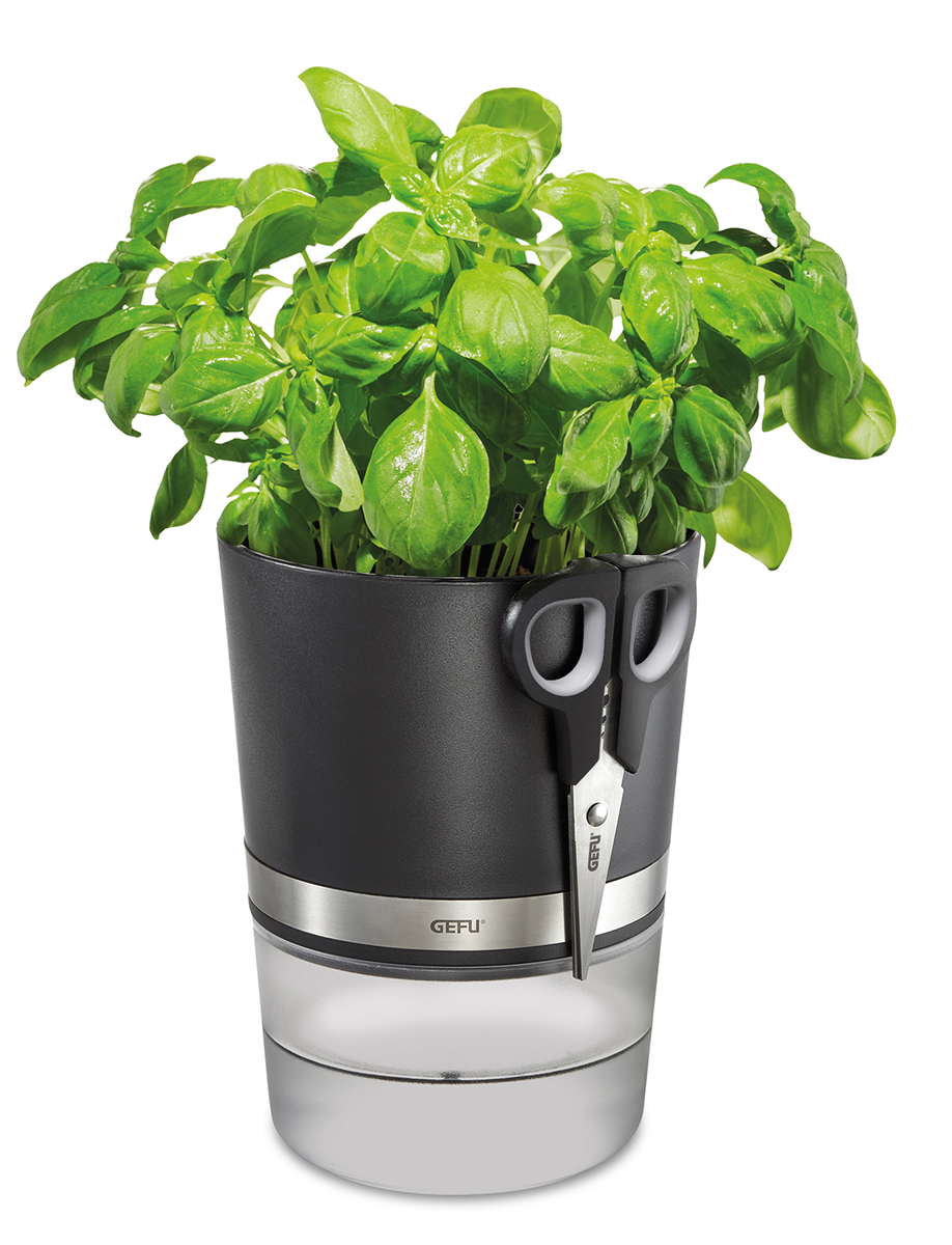 Herb Pot BOTANICO + Herb Scissors