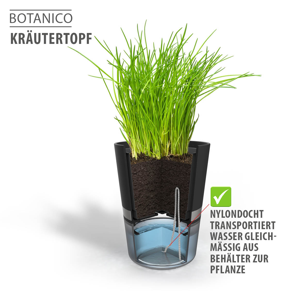 Selbstbewässernder Kräutertopf Botanico mit Nylondocht-System Transparente Darstellung eines Botanico Kräutertopfs mit integriertem Nylondocht zur gleichmäßigen Bewässerung der Pflanze.