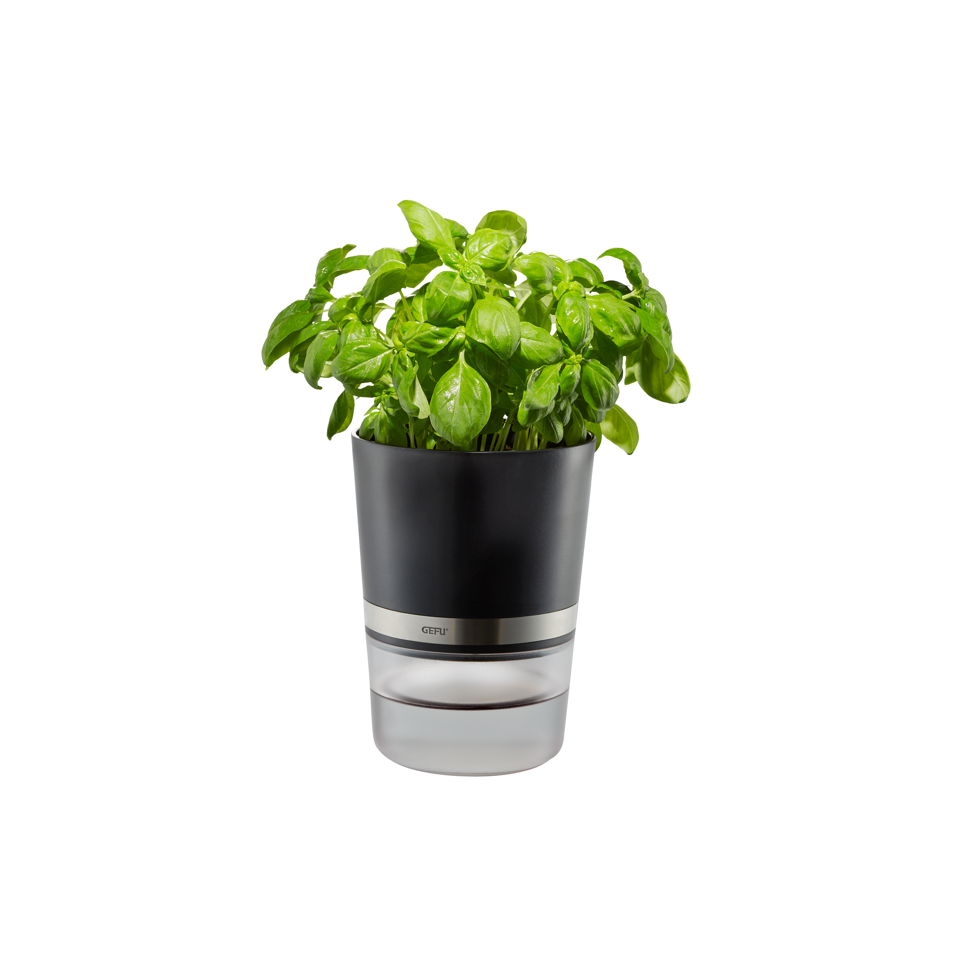 Herb Pot BOTANICO