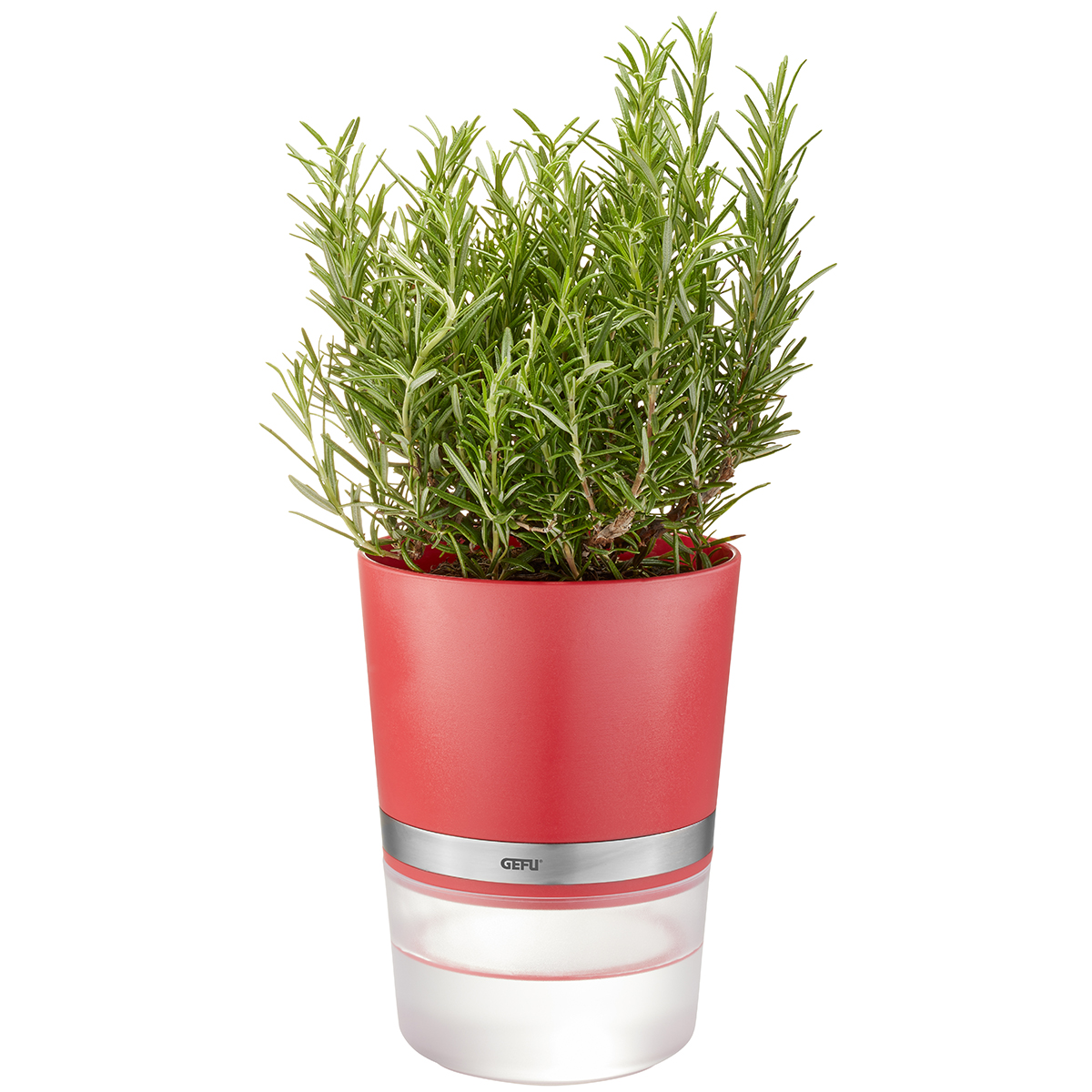 Kräutertopf BOTANICO, himbeerrot