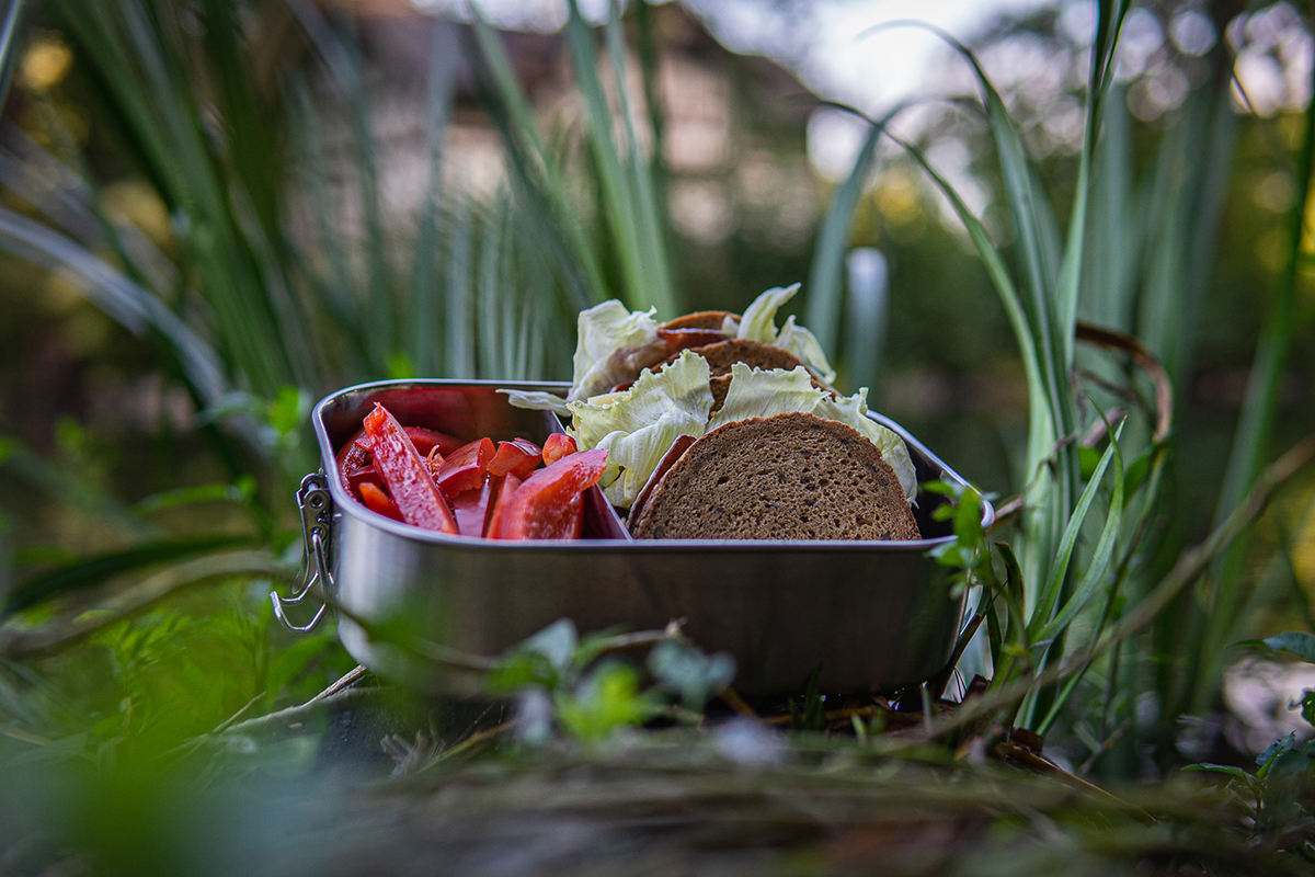 Lunchbox ENDURE, groß