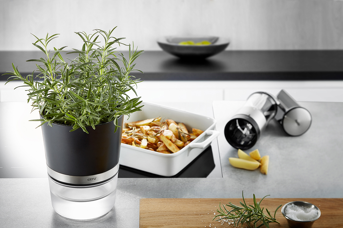 Herb Pot BOTANICO