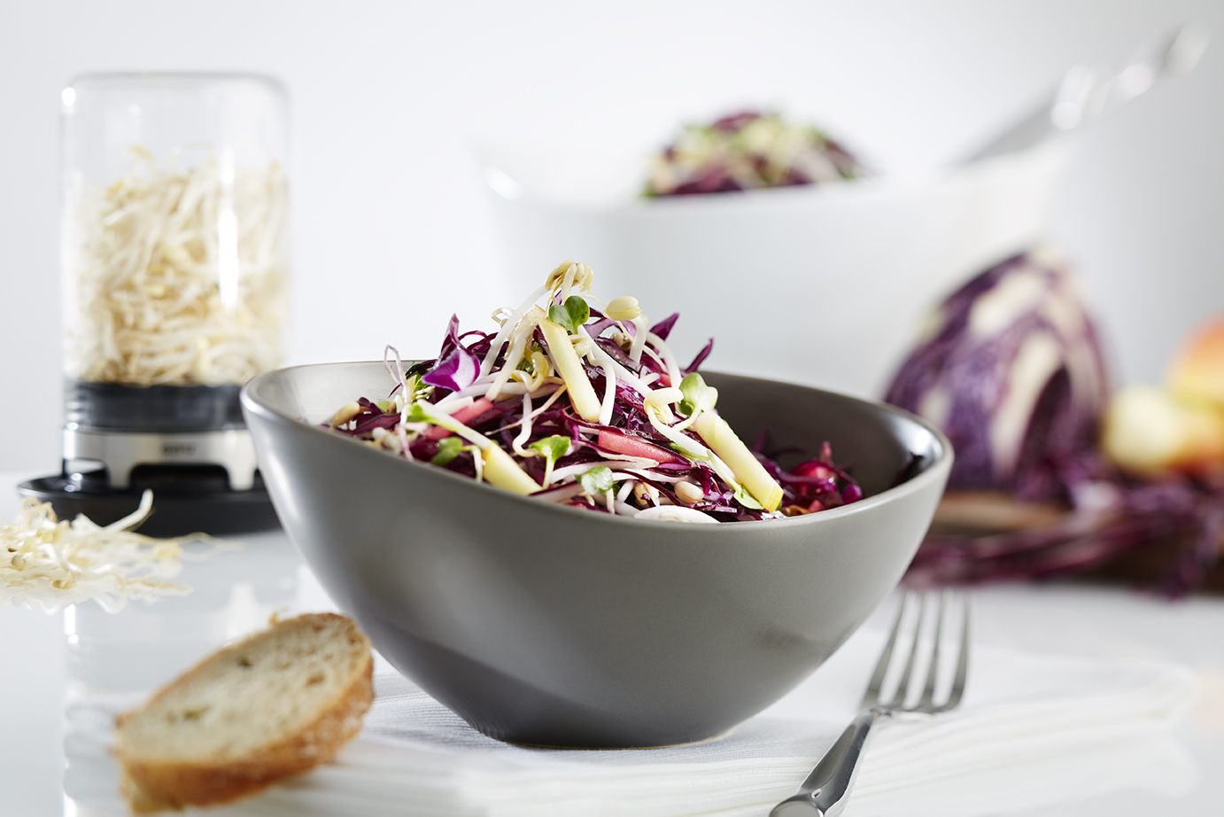 Rotkohl-Apfelsalat mit Mungbohnensprossen Nahaufnahme eines frischen Rotkohlsalats mit Sprossen in einer grauen Schüssel. Im Hintergrund befinden sich ein Glas mit Sprossen und eine Scheibe Brot.