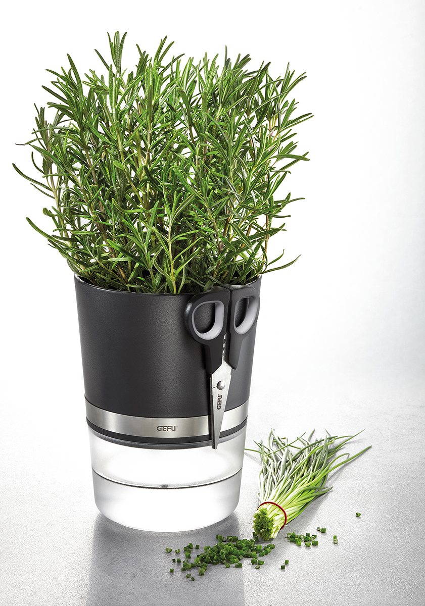 Herb Pot BOTANICO + Herb Scissors