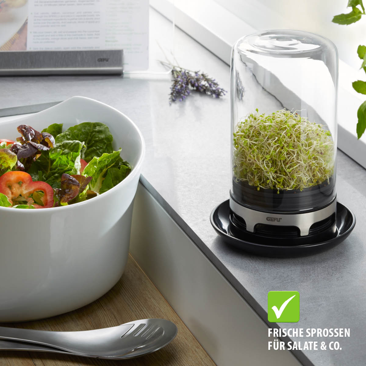 Sprouting jar BIVITA®