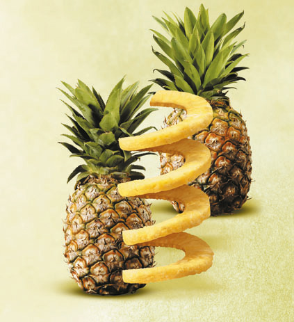 Frische Ananas mit spiralförmig geschnittenen Stücken Zwei ganze Ananas, eine mit spiralförmig geschnittenen Ananasstücken davor, auf hellem Hintergrund