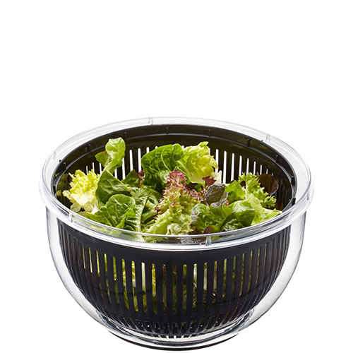 Salatschleuder mit frischem Salat Eine transparente Salatschleuder, gefüllt mit frischem, grünem Salat