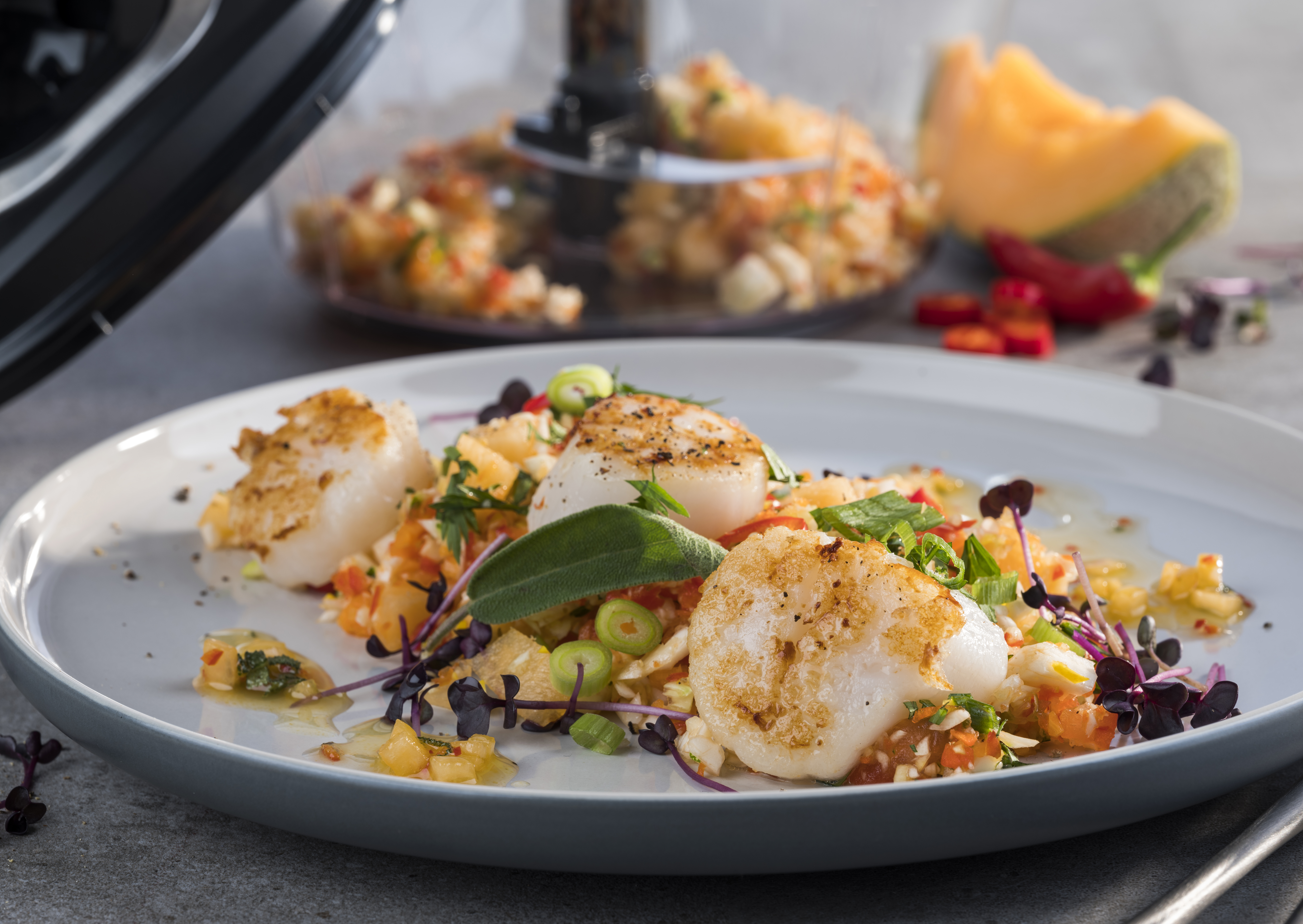 Gemüsesalat mit Melonen-Chili-Dressing und gebratener Jakobsmuschel Gemüsesalat mit Melonen-Chili-Dressing und gebratener Jakobsmuschel