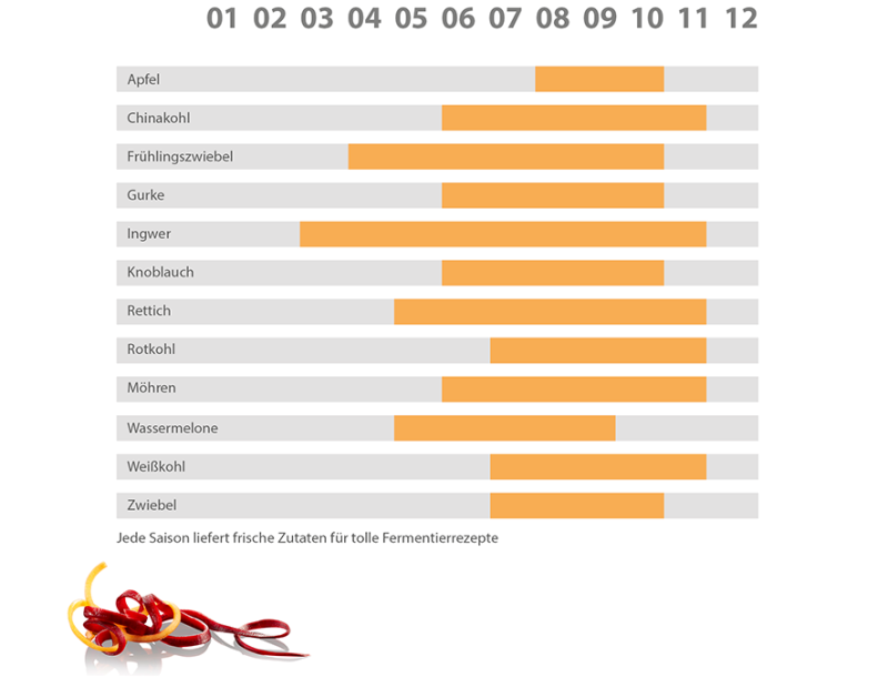 Saisonale Verfügbarkeit von Obst und Gemüse für Fermentierrezepte Tabelle zur Verfügbarkeit von Apfel, Chinakohl, Frühlingszwiebel, Gurke, Ingwer, Knoblauch, Rettich, Rotkohl, Möhren, Wassermelone, Weißkohl und Zwiebel nach Monat. Geeignet für Fermentierrezepte.