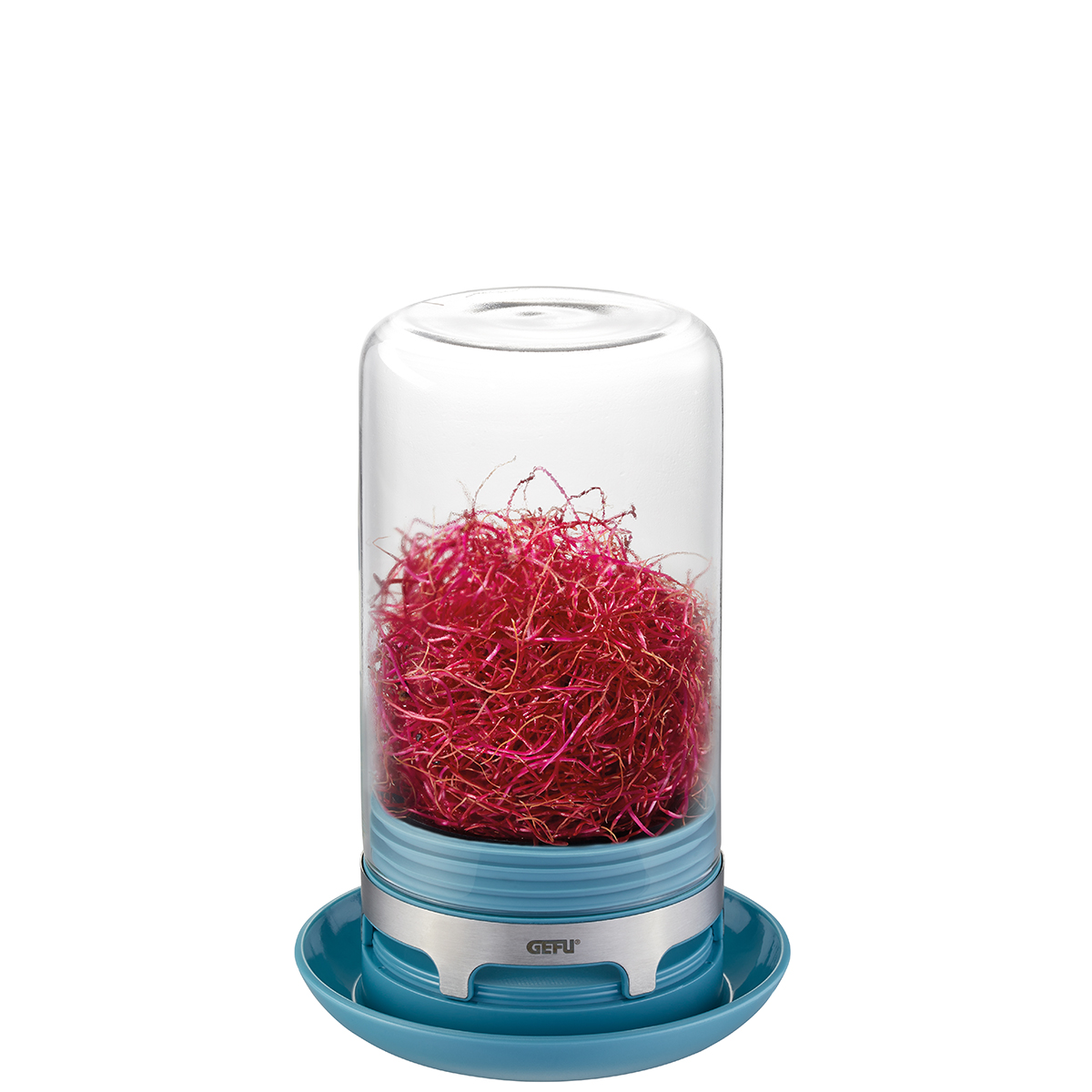 Sprouting jar BIVITA, azure blue